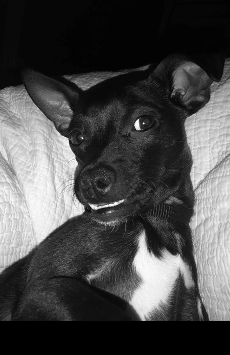 Nacho