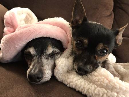 Sassy (Pictured Right)