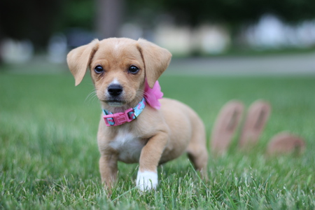 Dotty Mae