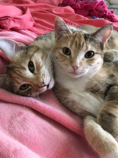 Greta and Jasmine