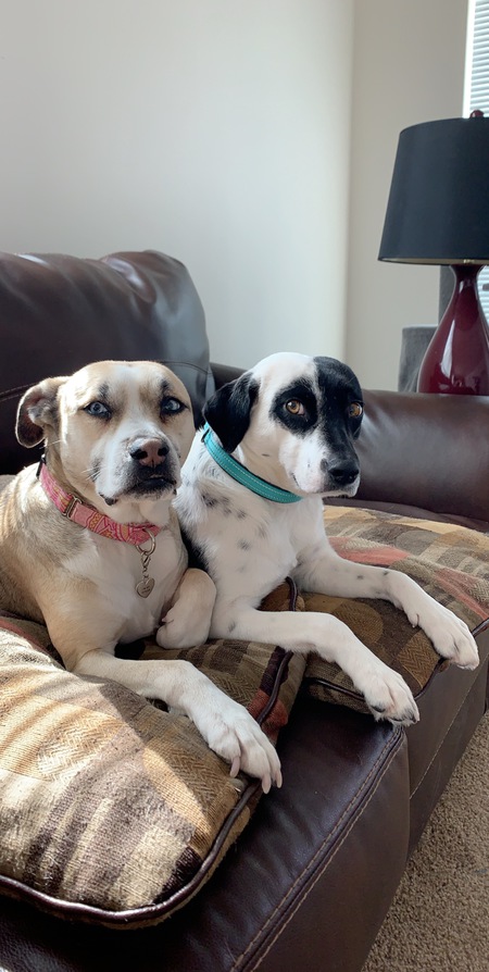 Tapanga and Monique