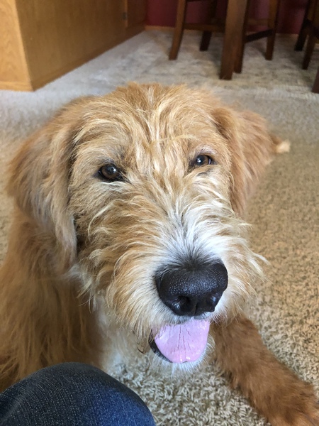 Zoey 