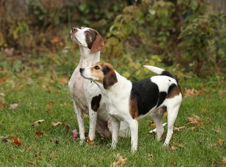 Rosie and Trudy