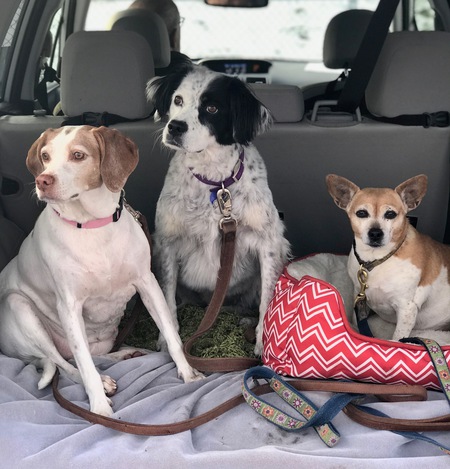 April, Phoebe, and Sadie