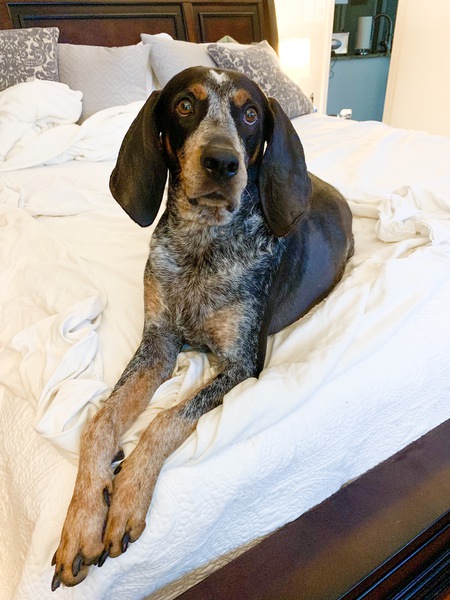 Eva Sadie