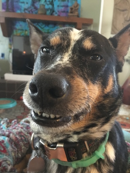 Trevor 