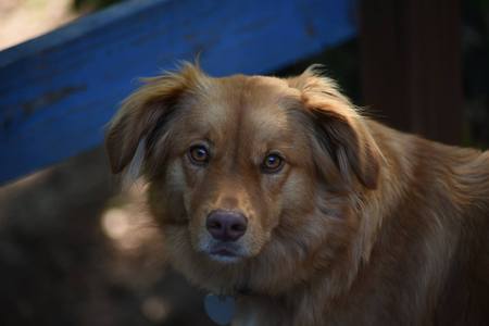 Daisy Duke the Duchess of Dirt 