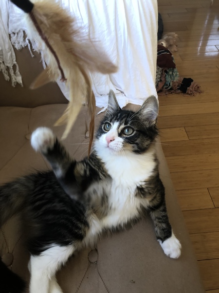 Lou