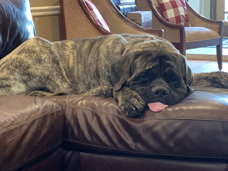 Porter