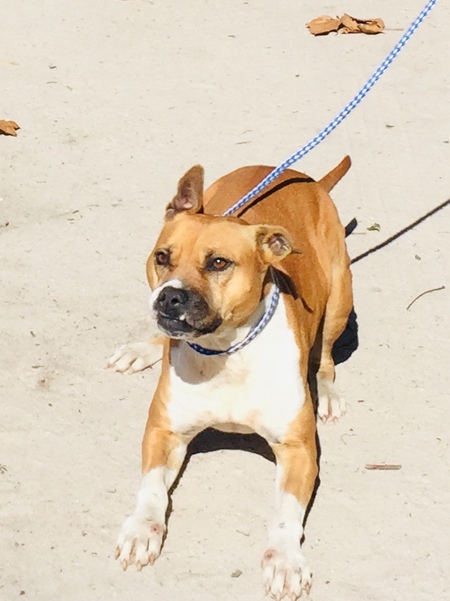 Roxy