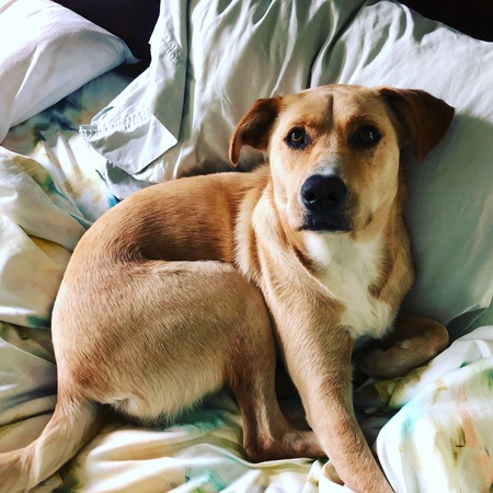 Maggie