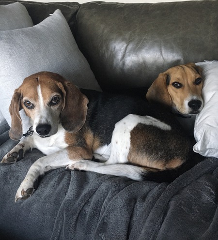Bennie and Elvis