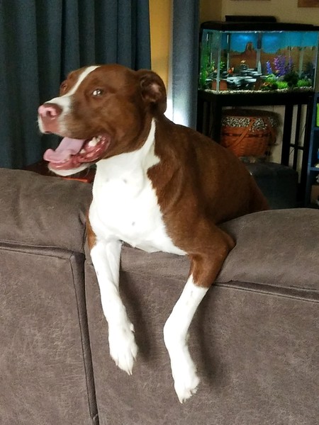 Daisy