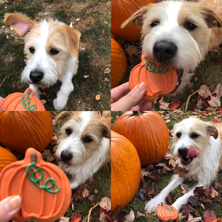 Max