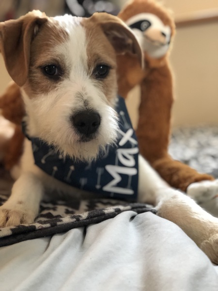 Max