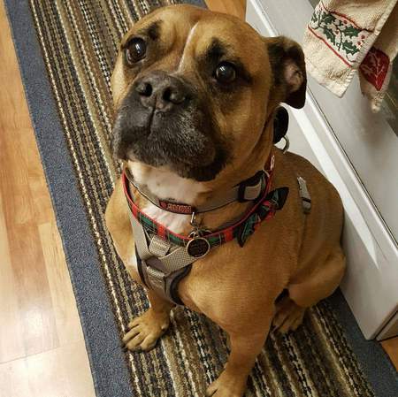 Walter
