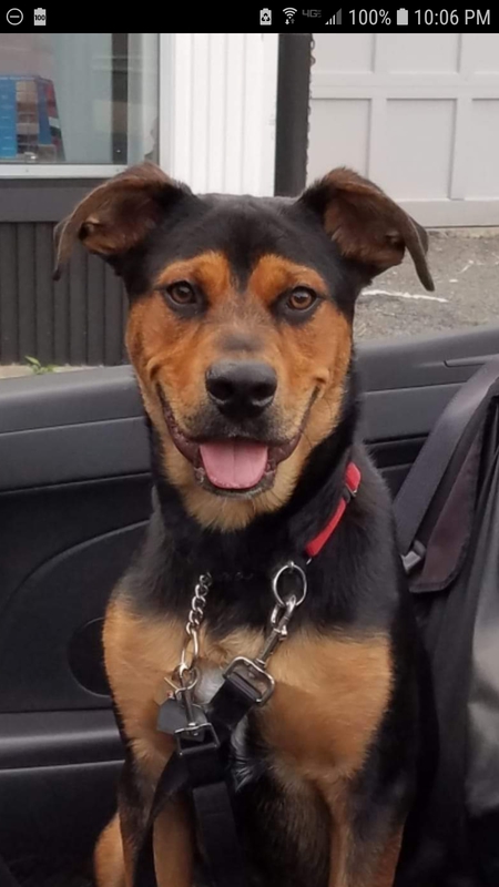 Loki