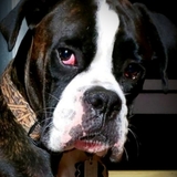 Entry image for Finley 