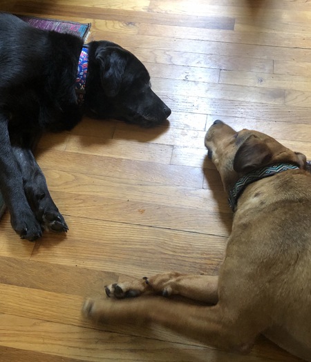 Lucy and Batman