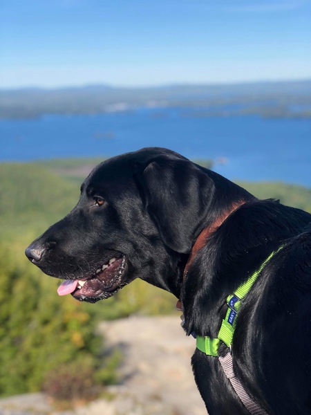 Truman 