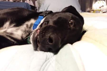 Finn