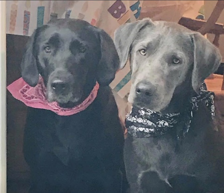 Lola & Gus