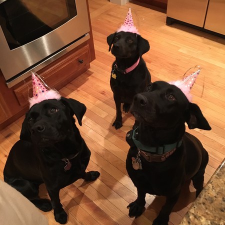 Maggie, Minnie, and Mabel
