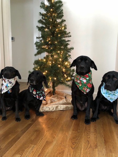 Maggie, Minnie, Mabel and Mary.