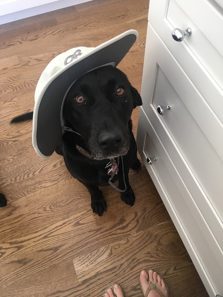 Maggie
