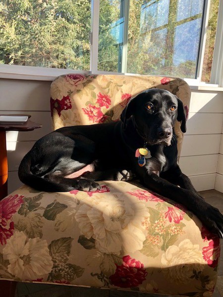 Maggie