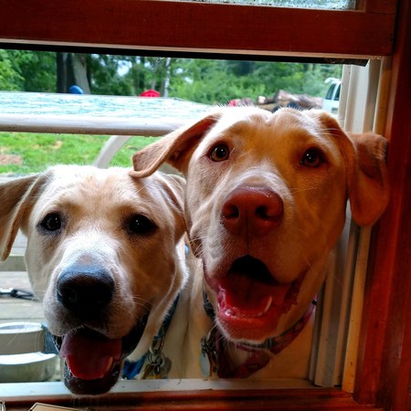 Chance & Sandy