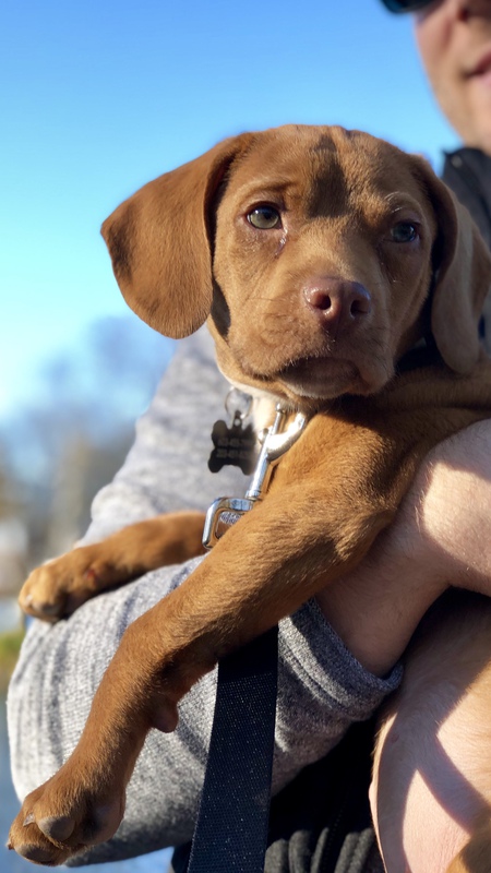 Charlie B.