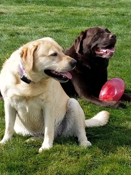 Eve and Zeke 