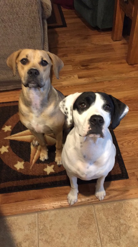 Willow & Gemma
