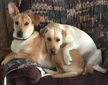 Brody & Zelda