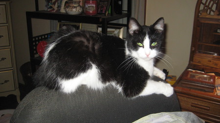 OREO