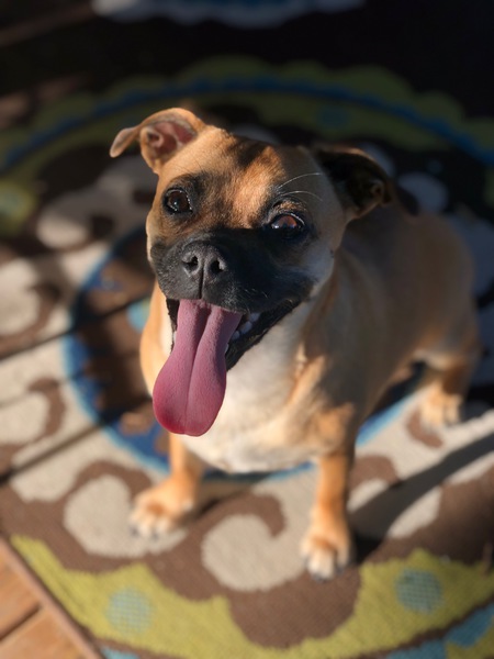 Luna