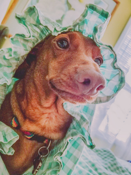 Scully