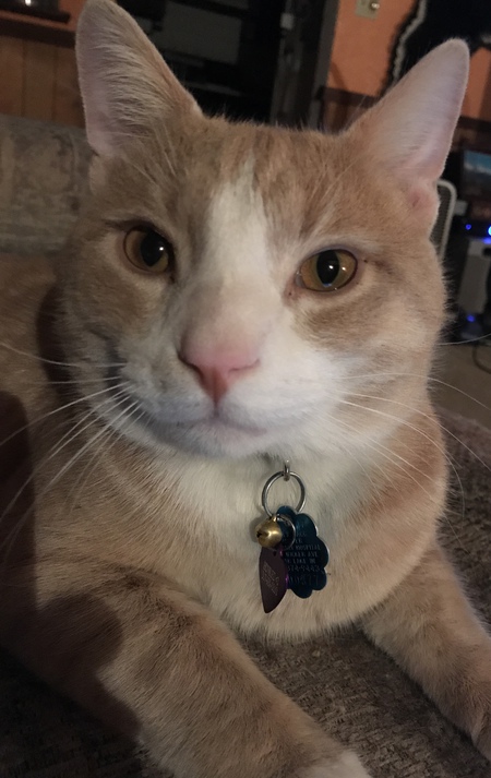 Howard