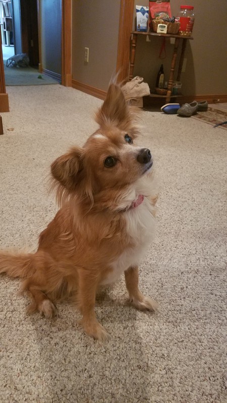 Bella