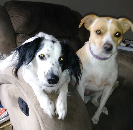 Ria & Reina