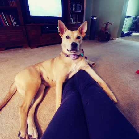 Gracie