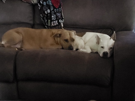 Zoey and Meeka