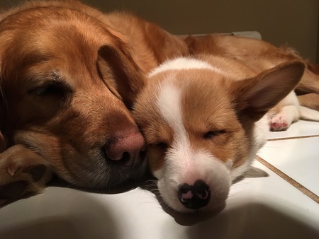 Molly & Jax