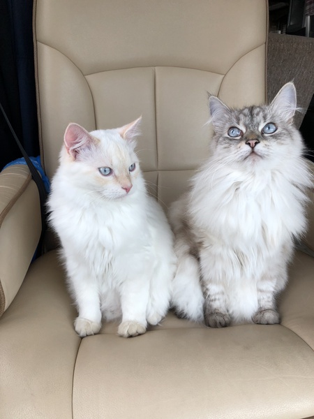 Sebastian & Penelope