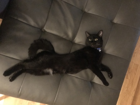 Binx 