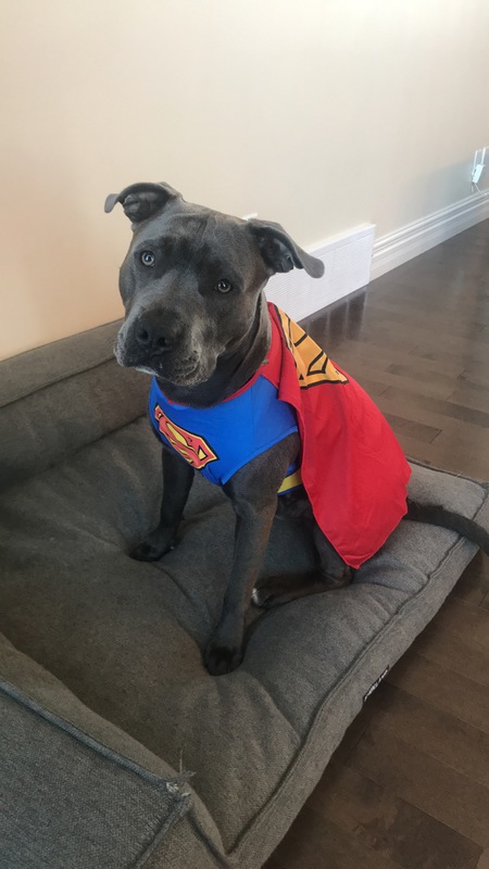 Zeus 