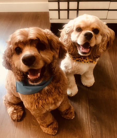 TC & Murph