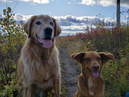 Zeplyn and Ginger