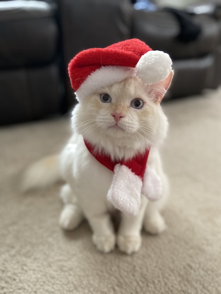 Sebastian 